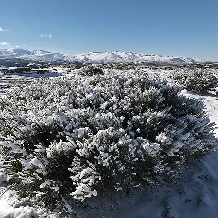 El Cerro - El Cerro I * Navarredonda de Gredos