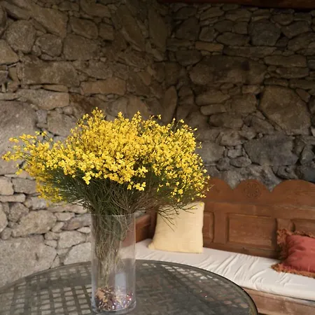 El Cerro - El Cerro I Holiday home Navarredonda de Gredos