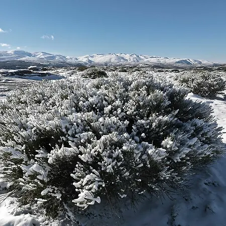 El Cerro - El Cerro I Navarredonda de Gredos