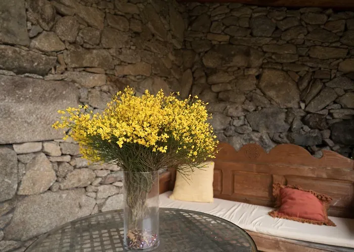 El Cerro - El Cerro I Gospodarstwo wiejskie Navarredonda de Gredos